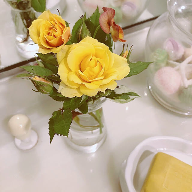 ange.zuzuさんの実例写真