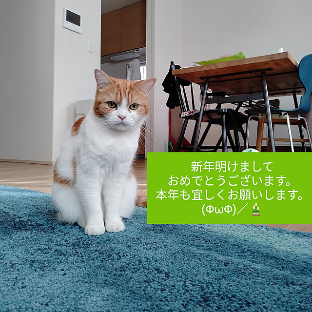 Coney_Island_NYさんの実例写真