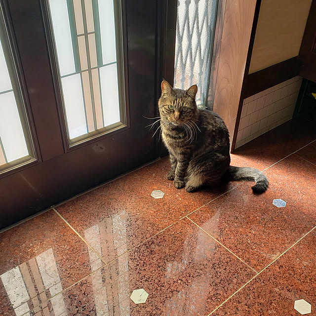 Mayumi8888さんの実例写真