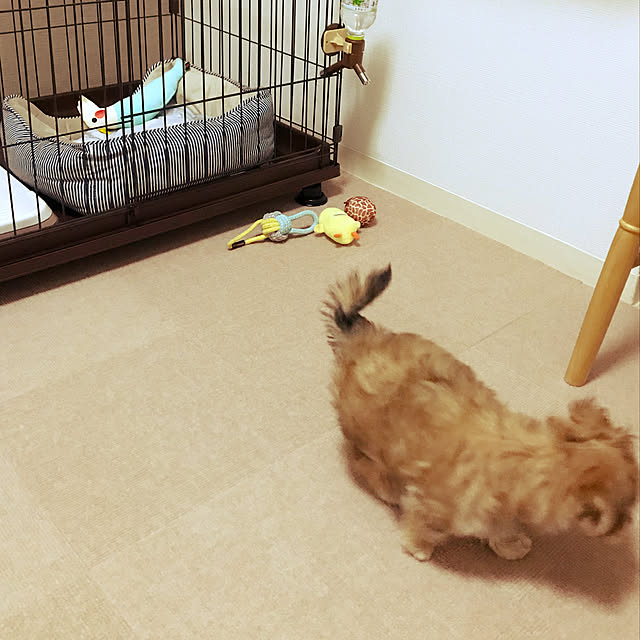 ameonnaさんの実例写真