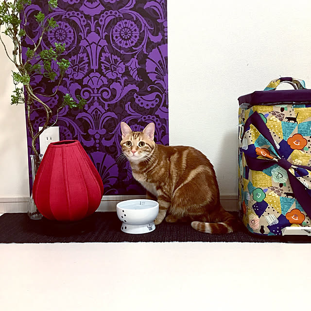 mugisobaさんの実例写真