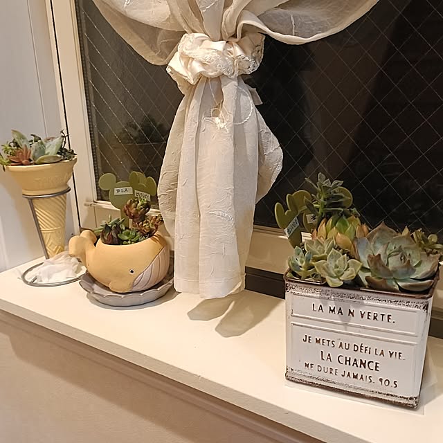 annaさんの部屋