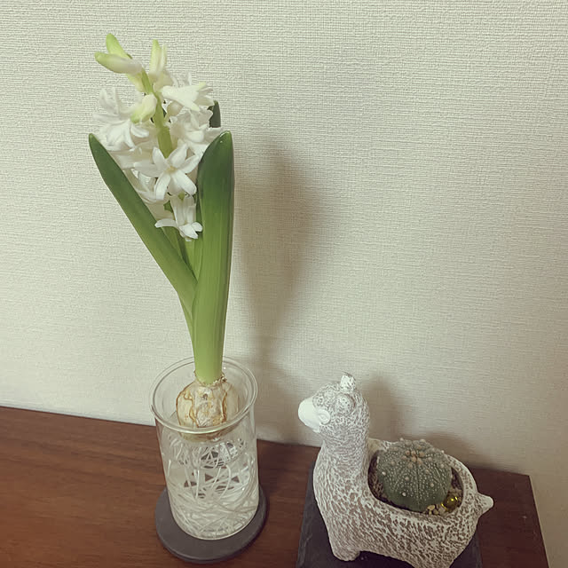 asamaruさんの実例写真