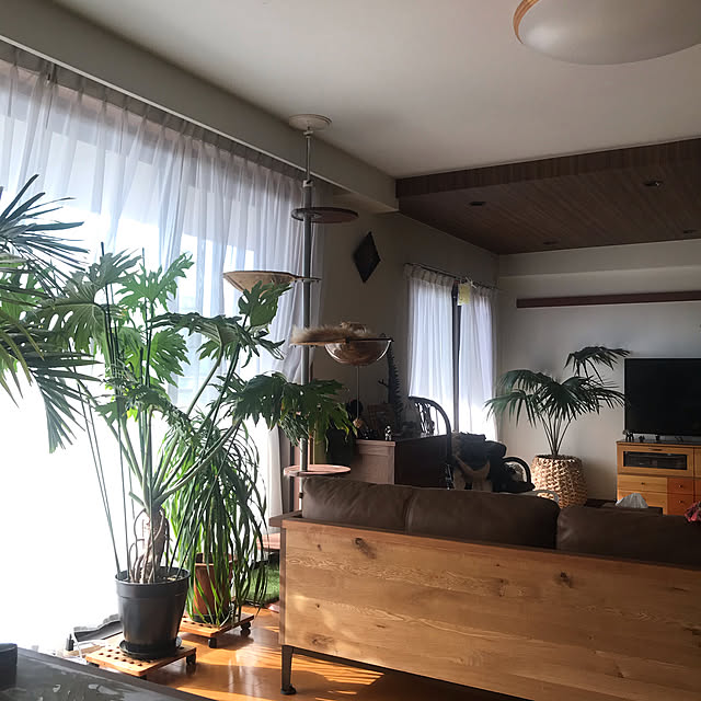 simsuさんの部屋