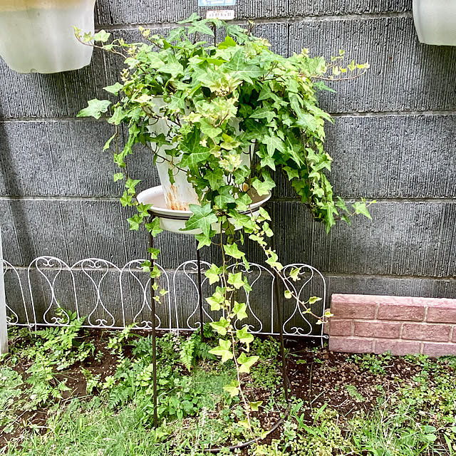 YuuKoさんの実例写真