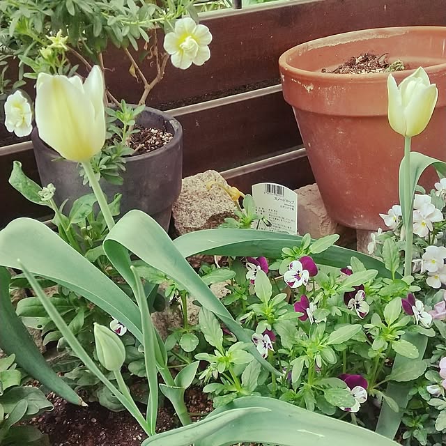 hanano087さんの部屋