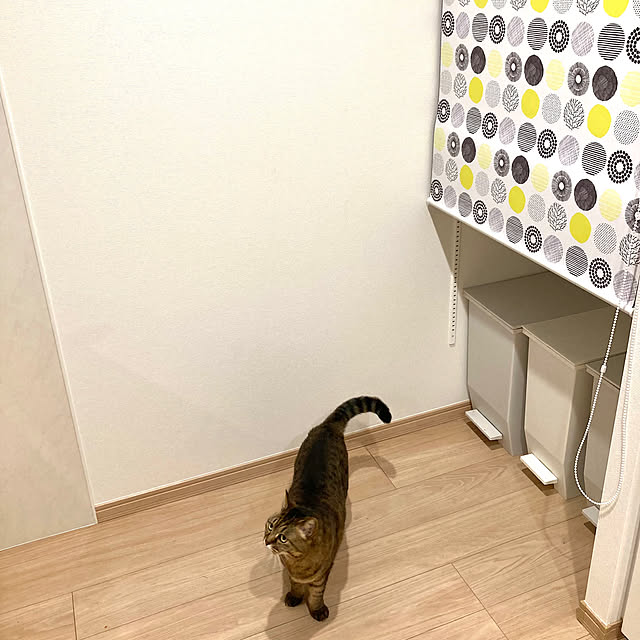 kirinsanさんの部屋