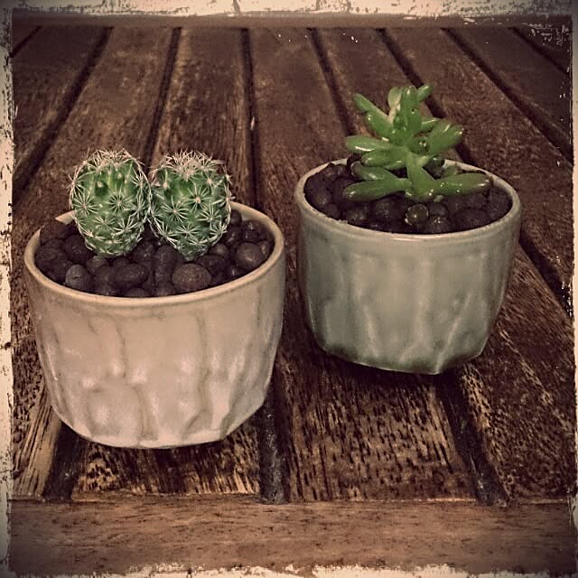 ベッド周り/食器/雑貨/植物のインテリア実例 - 2013-10-16 07:18:08