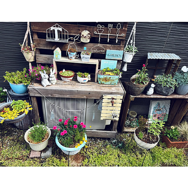 CoCo0617さんの部屋