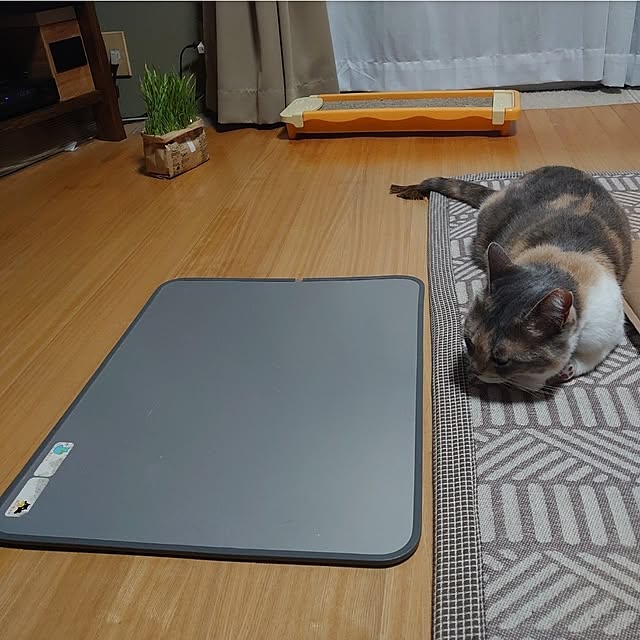 fukuさんの部屋