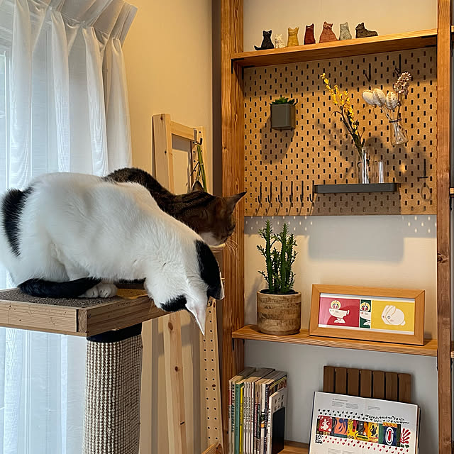 nobikoさんの実例写真