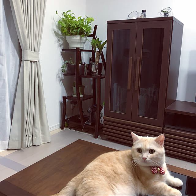 mutsuさんの実例写真