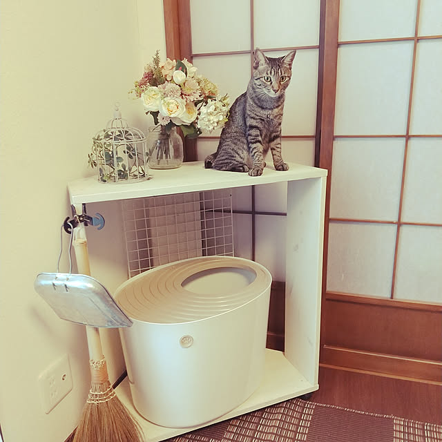 Mikaさんの実例写真
