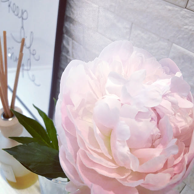 bbsakura313さんの実例写真