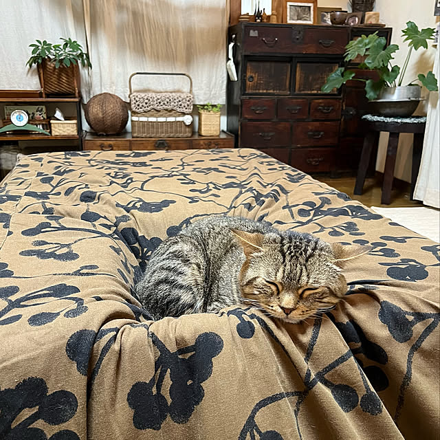 kuuさんの実例写真