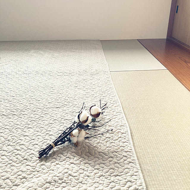 Yasunaさんの実例写真