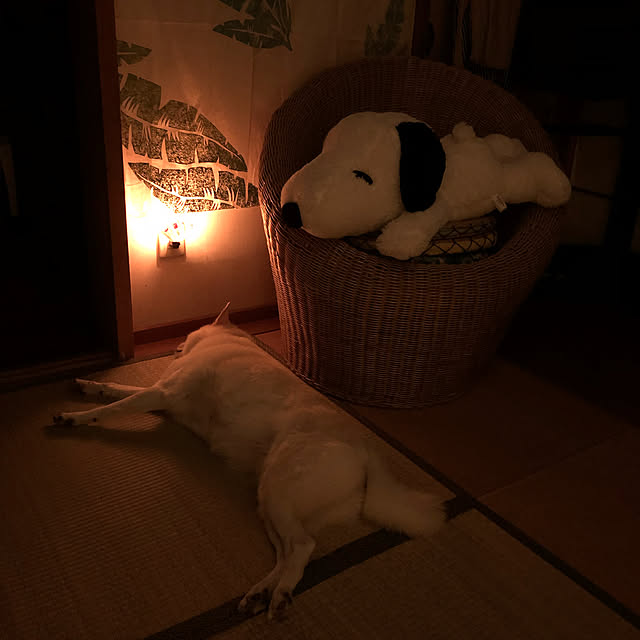 jewel-ynmさんの実例写真