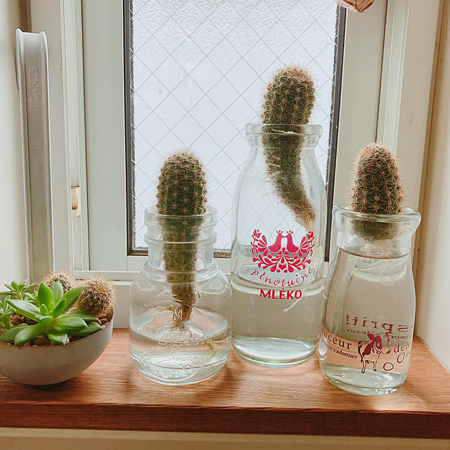 okkunさんの実例写真