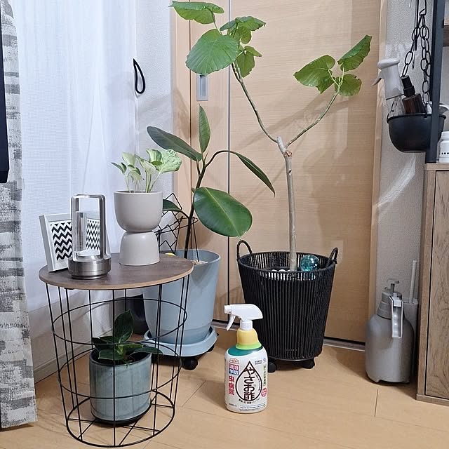 Riokaさんの実例写真