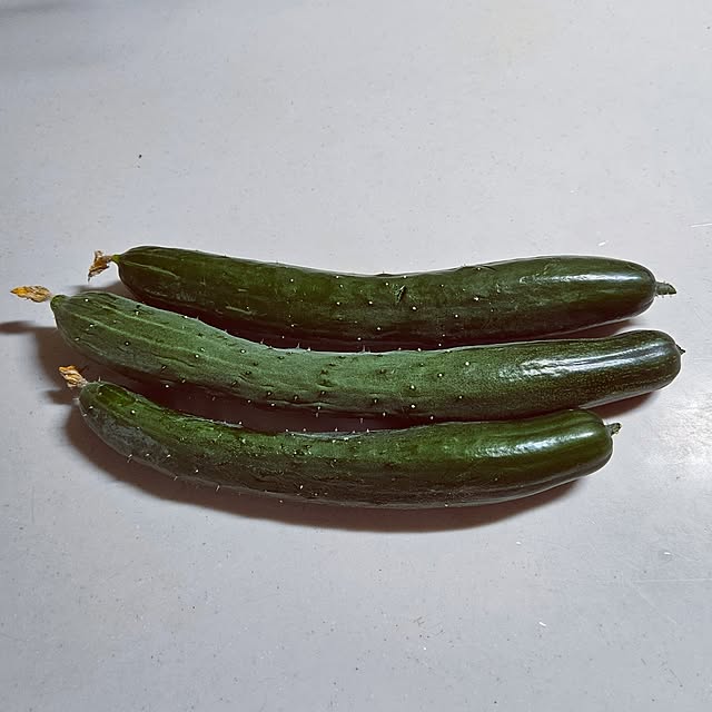 mocomocoさんの部屋