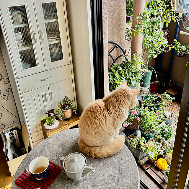 naokoさんの部屋