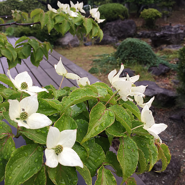 Nagakoさんの実例写真