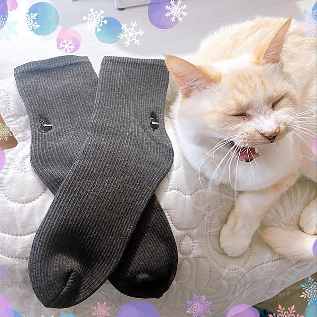 posauruさんの実例写真