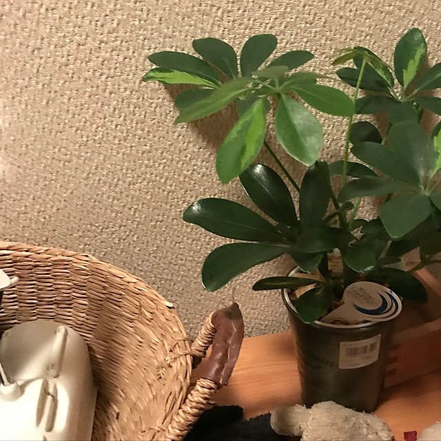 Nazu0612さんの実例写真