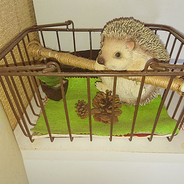 ameamekaasanさんの実例写真
