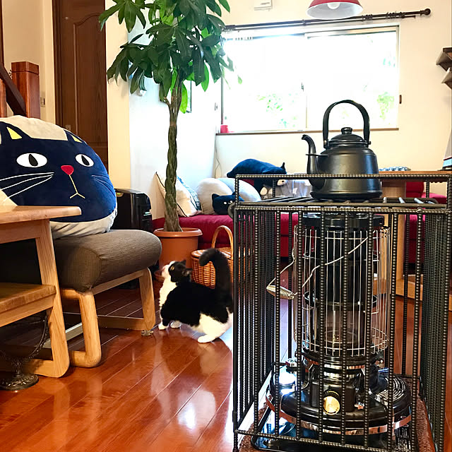 butachanさんの実例写真