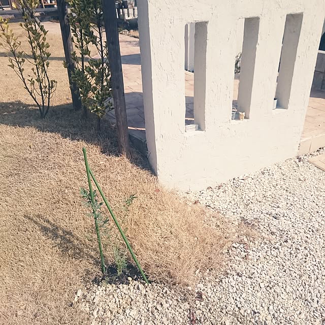 kanoさんの実例写真
