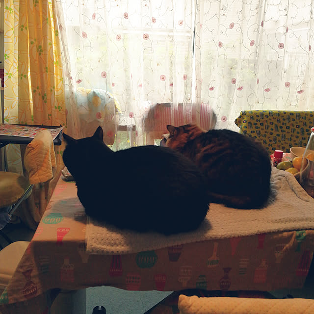 実例写真