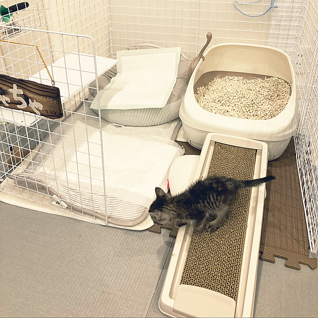m.coccoさんの実例写真