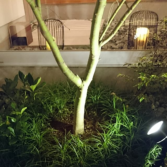 nekojita000さんの実例写真