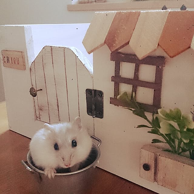 comiriさんの実例写真
