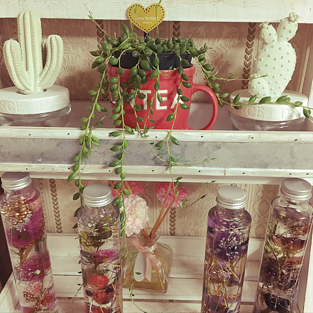 DIY/雑貨/観葉植物/アンティーク/多肉植物...などのインテリア実例 - 2019-03-14 21:24:54