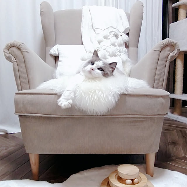 sumishouseさんの実例写真