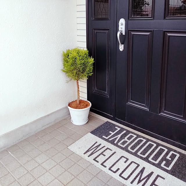 chachaさんの実例写真