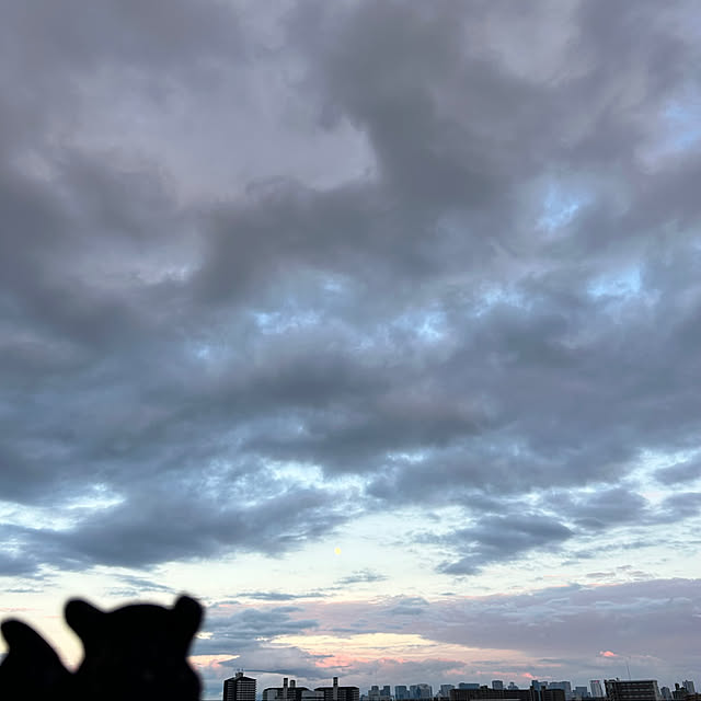 simple_blowbackさんの実例写真