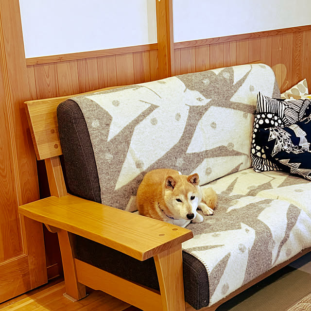wakaba223さんの実例写真
