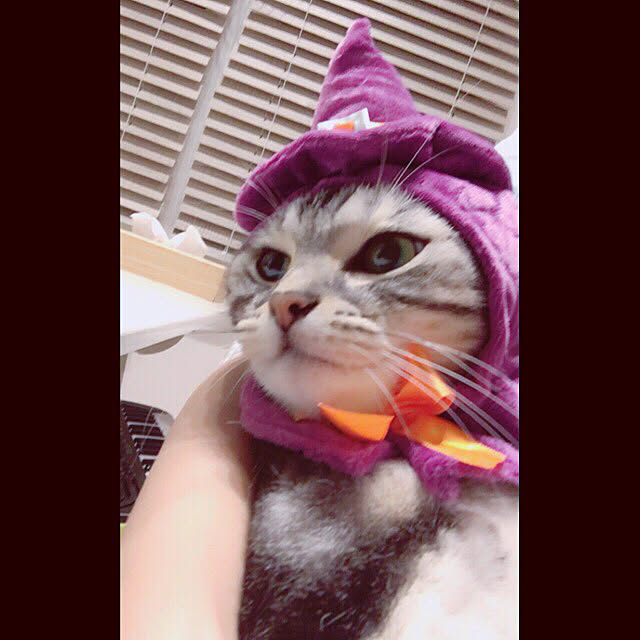 maripoさんの実例写真