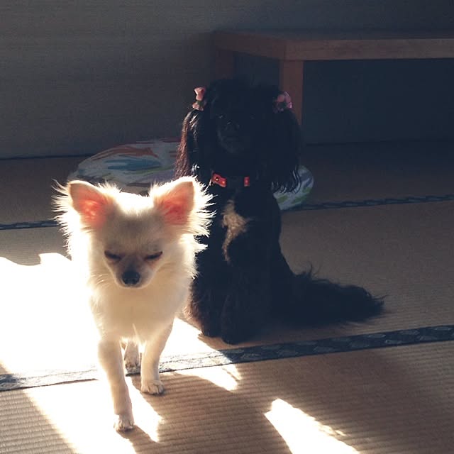 yukiさんの実例写真