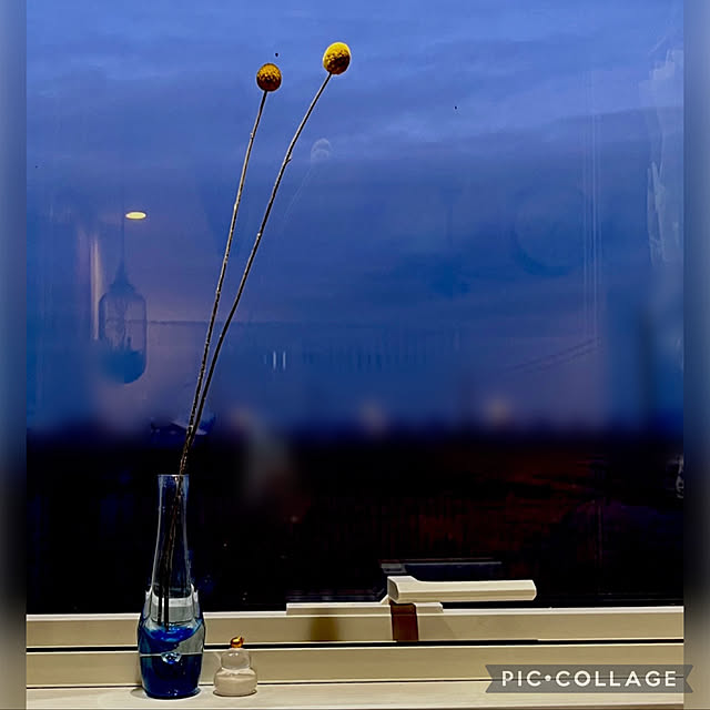yoshibuさんの実例写真