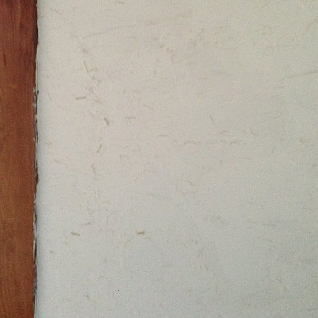 anzuさんの実例写真