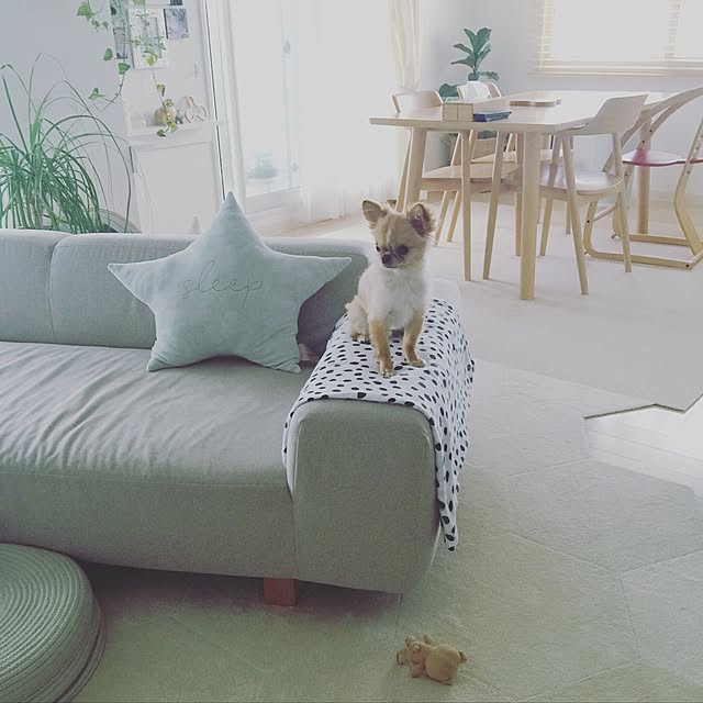 haruhinaさんの実例写真