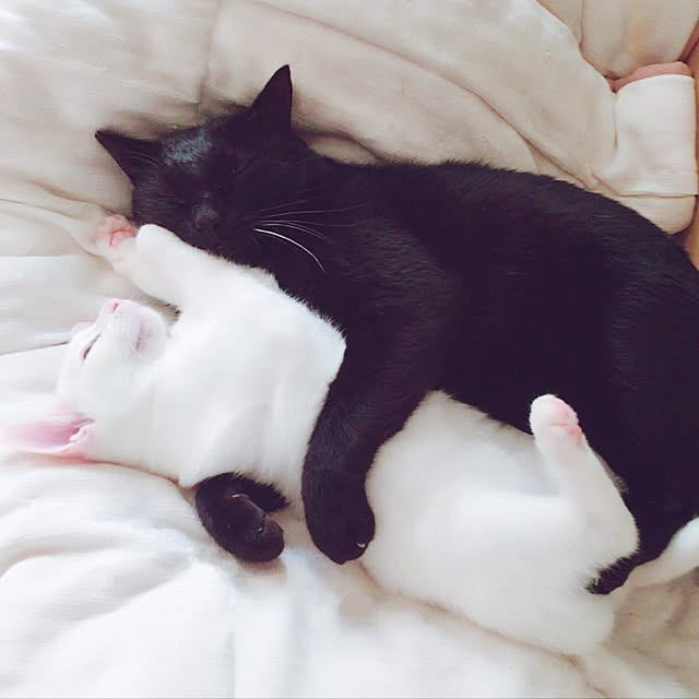 kirakirahikaru814さんの実例写真