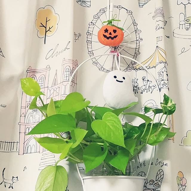 katさんの部屋