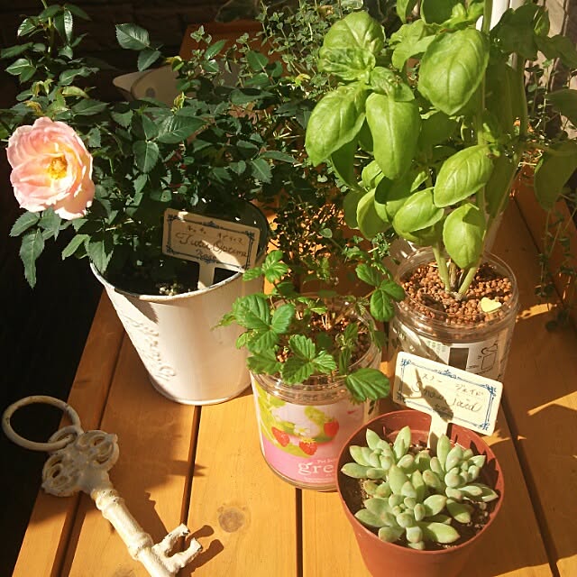 springさんの実例写真