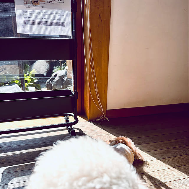 chacoさんの実例写真