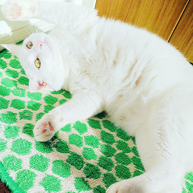 kaori0001さんの実例写真